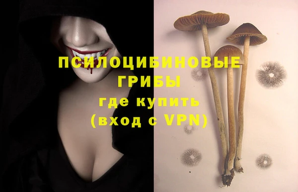 меф Каменка